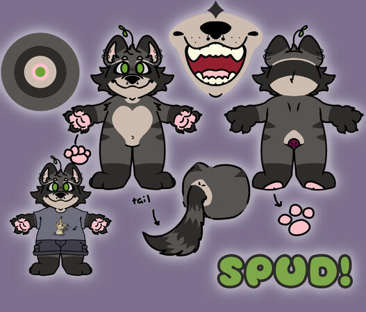 @spudsauz on INSTAGRAM